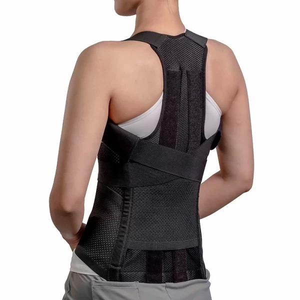 Deluxe Back Support Belt