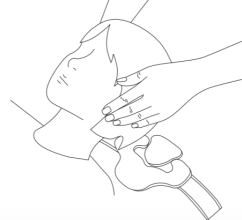 Immobilize Support Collar Immobilize Support Collar